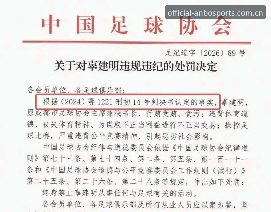 足协第三批禁足名单深度分析：17人终身禁赛背后的治理逻辑与行业警示